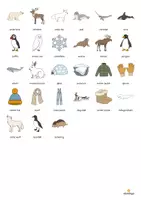 Vista previa - Juegos / Gamificación - Arctic & Antarctic / Ártico y Antártida: Vocabulary Game (Juego para la clase de inglés) - página 3