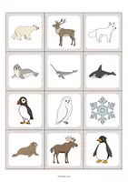 Vista previa - Juegos / Gamificación - Arctic & Antarctic / Ártico y Antártida: Floppi (Juego para la clase de inglés) - página 2