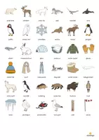 Vista previa - Juegos / Gamificación - Arctic & Antarctic / Ártico y Antártida: Vocabulary Fitness (Fitness de vocabulario) - página 2