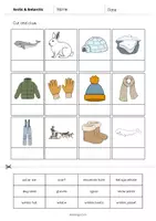 Vista previa - Manualidades / Dibujos para colorear - Arctic & Antarctic / Ártico y Antártida: Cut and Glue (Hoja de trabajo de inglés) - página 3