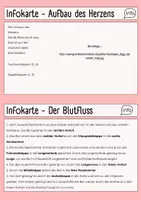 Vorschau - Arbeitsblätter - Herz sezieren_Herz-Kreislauf-System - Seite 2