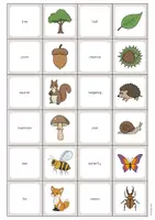 Vista previa - Juegos / Gamificación - Forest / Bosque: Memo Game (Juego para la clase de inglés) - página 2