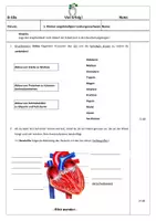 Vorschau - Stundenentwürfe - Stegreifaufgabe/Test 10. Klasse Biologie_Herz+Blutgefäße - Seite 2