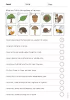 Vista previa - Hojas de trabajo - Forest / Bosque: What am I? - Worksheet (Hoja de trabajo de inglés) - página 2