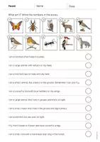 Vista previa - Hojas de trabajo - Forest / Bosque: What am I? - Worksheet (Hoja de trabajo de inglés) - página 3