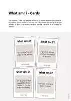 Vista previa - Tarjetas / Manipulativos - Garden / Jardín: What am I? - Cards (Juego de adivinanzas para la clase de inglés) - página 1