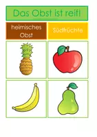 Vorschau - Stundenentwürfe - Das Obst ist reif - Seite 3