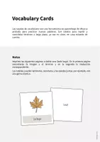 Vista previa - Manualidades / Dibujos para colorear - Autumn / Otoño: Vocabulary Cards (Tarjetas de palabras) - página 1