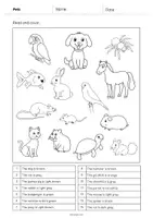 Vista previa - Manualidades / Dibujos para colorear - Pets / Mascotas: Read and Color 1 (Hoja de trabajo de inglés) - página 2
