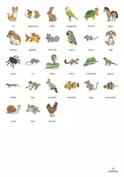 Vista previa - Juegos / Gamificación - Pets / Mascotas: Vocabulary Game (Juego para la clase de inglés) - página 3