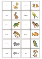 Vista previa - Hojas de trabajo - PETS: Paquete XXL de materiales para la clase de inglés (Mascotas) - página 3
