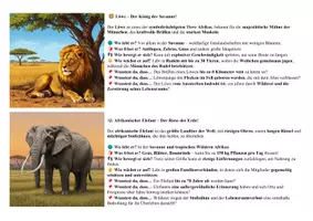 Vorschau - Mal- und Bastelvorlagen - Tiere der Savanne – Ich lerne und male aus2 - Seite 3