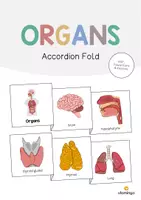 Vista previa - Manualidades / Dibujos para colorear - Organs / Órganos: Accordion Fold (Juego para la clase de inglés) - Portada