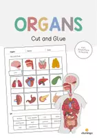 Vista previa - Manualidades / Dibujos para colorear - ORGANS: Paquete XXL de materiales para la clase de inglés (Órganos) - página 1