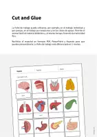 Vista previa - Manualidades / Dibujos para colorear - ORGANS: Paquete XXL de materiales para la clase de inglés (Órganos) - página 2