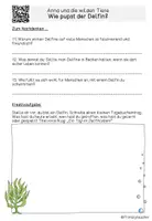 Vorschau - Arbeitsblätter - Anna und die wilden Tiere - Wie pupst ein Delfin? - Quizfragen inkl. QR-Code - Seite 2