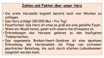 Vorschau - Stundenentwürfe - Das Herz – Aufbau & Funktion: Arbeitsblatt, Lösung & Präsentation Biologieunterricht (Sek I) - Seite 3