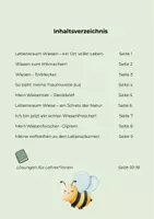Vorschau - Unterrichtsreihen - 3. Heft - Lebensraum Wiese - 5. + 6. Klasse - Seite 1