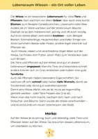 Vorschau - Unterrichtsreihen - 3. Heft - Lebensraum Wiese - 5. + 6. Klasse - Seite 2