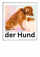 Vorschau - Merkblätter - Wortschatz Haustiere mit Bildern DAZ - Seite 1