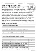 Vorschau - Arbeitsblätter - Lesen & Verstehen - Der Hund (Klasse 1-2) - Seite 1