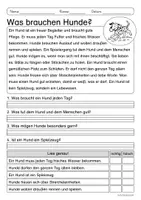 Vorschau - Arbeitsblätter - Lesen & Verstehen - Der Hund (Klasse 1-2) - Seite 2