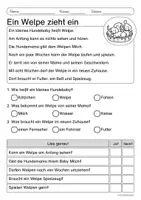 Vorschau - Arbeitsblätter - Lesen & Verstehen - Der Hund - Leseförderung für Leseanfänger (Klasse 1-2) - Seite 1