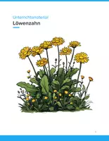 Vorschau - Arbeitsblätter - Löwenzahn – Biologieunterricht mit Alltagsbezug (SEK I, Klassen 5–7) - Deckblatt