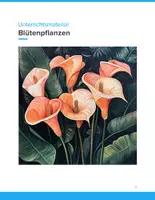 Vorschau - Arbeitsblätter - Blütenpflanzen – Aufbau, Bestäubung und Bedeutung im Biologieunterricht SEK I - Deckblatt