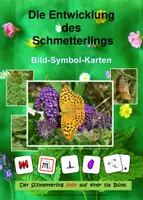Vorschau - Spiele - Die Entwicklung des Schmetterlings - Bild-Symbol-Karten - Deckblatt