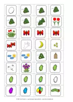 Vorschau - Spiele - Die Entwicklung des Schmetterlings - Bild-Symbol-Karten - Seite 2