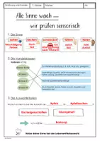 Vorschau - Arbeitsblätter - Sensorisch Prüfen - Sinne - Ernährung und Soziales ES - Seite 3