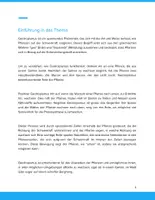 Vorschau - Unterrichtsreihen - Geotropismus im Biologieunterricht – Pflanzenreaktionen auf die Schwerkraft (Klassen 7–10) - Seite 3