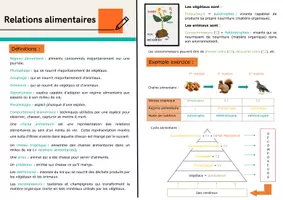 Aperçu - Apprentissages en autonomie - Relations alimentaires - Page de couverture