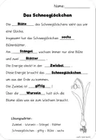 Vorschau - Arbeitsblätter - Schneeglöckchen Arbeitsblätter, Klettbild und Streichholzschachtelwörter - Seite 2