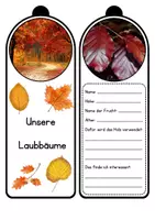 Vorschau - Unterrichtsreihen - Wald - Unsere Laubbäume (Legematerial und Fächer) - Seite 1