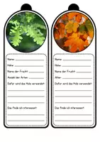 Vorschau - Unterrichtsreihen - Wald - Unsere Laubbäume (Legematerial und Fächer) - Seite 2