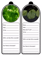 Vorschau - Unterrichtsreihen - Wald - Unsere Laubbäume (Legematerial und Fächer) - Seite 3