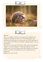 Vorschau - Quiz - Tiere im Winter – Rätsel - Seite 1