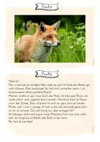 Vorschau - Quiz - Tiere im Winter – Rätsel - Seite 2