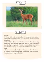 Vorschau - Quiz - Tiere im Winter – Rätsel - Seite 3