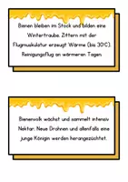 Vorschau - Präsentationen/Tafelbilder - Biene Tafelmaterial - Seite 2
