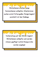 Vorschau - Präsentationen/Tafelbilder - Biene Tafelmaterial - Seite 3