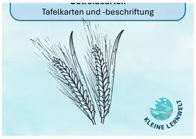 Vorschau - Unterrichtsreihen - Getreide, SU Klasse 3/4 - Materialpaket - Deckblatt