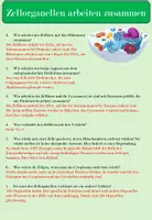 Vorschau - Stundenentwürfe - Zellorganellen arbeiten zusammen - komplette Unterrichtsstunde mit Leitfragen, Glossar & interaktivem Quiz - Seite 3