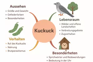 Vorschau - Arbeitsblätter - Arbeitsblätter zum Thema "Kuckuck" + Lösung & MP3 + Mindmap + Infografik - Seite 2
