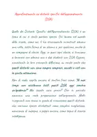 anteprima - Materiale di supporto/inclusione - Approfondimento sui disturbi specifici dell'apprendimento - Pagina di copertina