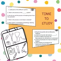 Vista previa - Juegos / Gamificación - The human body: Questions to study. Gamificación - Portada