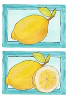 Vorschau - Bildkarten - Picture Cards Früchte 1 (Apfel, Zitrone, Orange, Avocado, Banane, Erdbeere, Himbeere, Blaubeere, Kokosnuss, Maracuja) - Seite 2