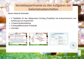 Vorschau - Arbeitsblätter - Gelenke & Gelenkaufbau – Modellexperimente mit Arbeitsblättern | Biologie Klasse 5/6 - Deckblatt